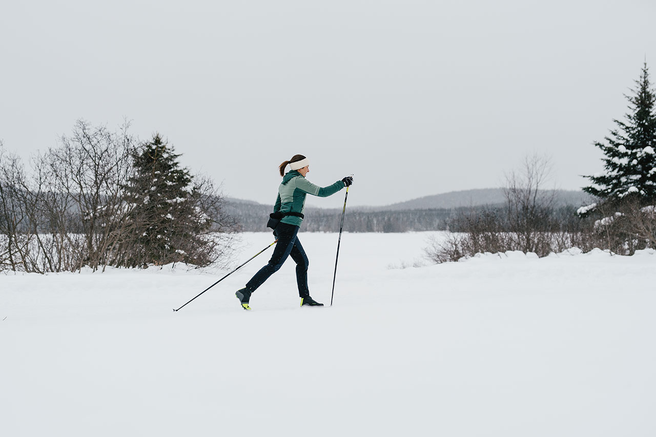 Réserve faunique des Laurentides