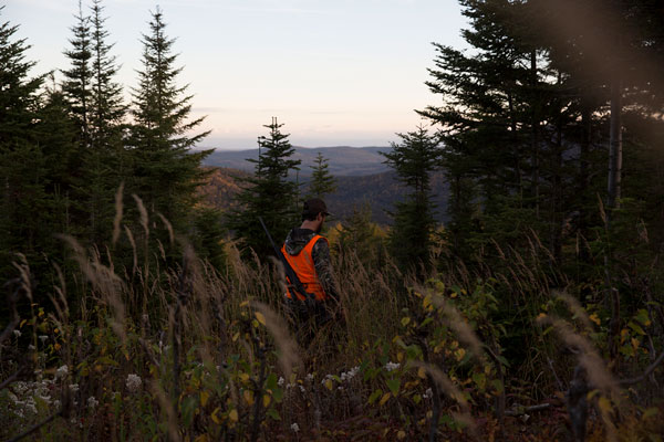 Réserve faunique de Matane