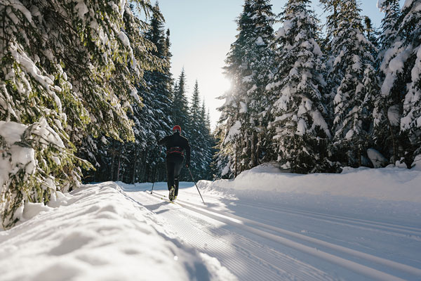 Réserve faunique des Laurentides
