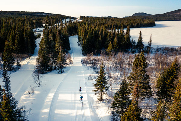 Réserve faunique des Laurentides