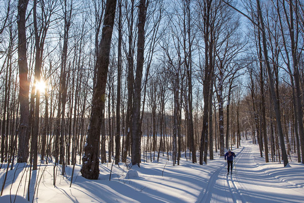 Parc national du Mont-Saint-Bruno