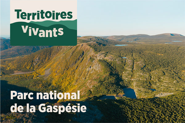Parc national de la Gasp&eacute;sie
