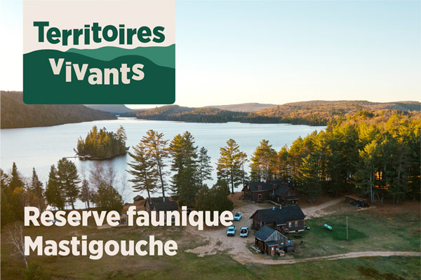 Réserve faunique Mastigouche