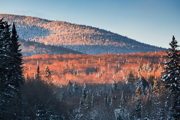 Parc national du Mont-Tremblant